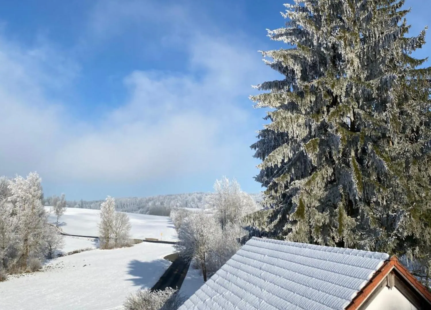 Loft Im Haus Mit Geschichte Apartment Mahring Germany